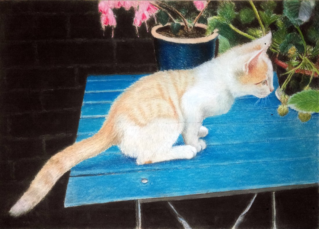 AMERICAN SCHOOL 20th CENTURY: Description : " Cat on table " ca.1960.-- Medium : Pastel / paper.-- Dimensions : 50 x 70 cm.-- Not signed