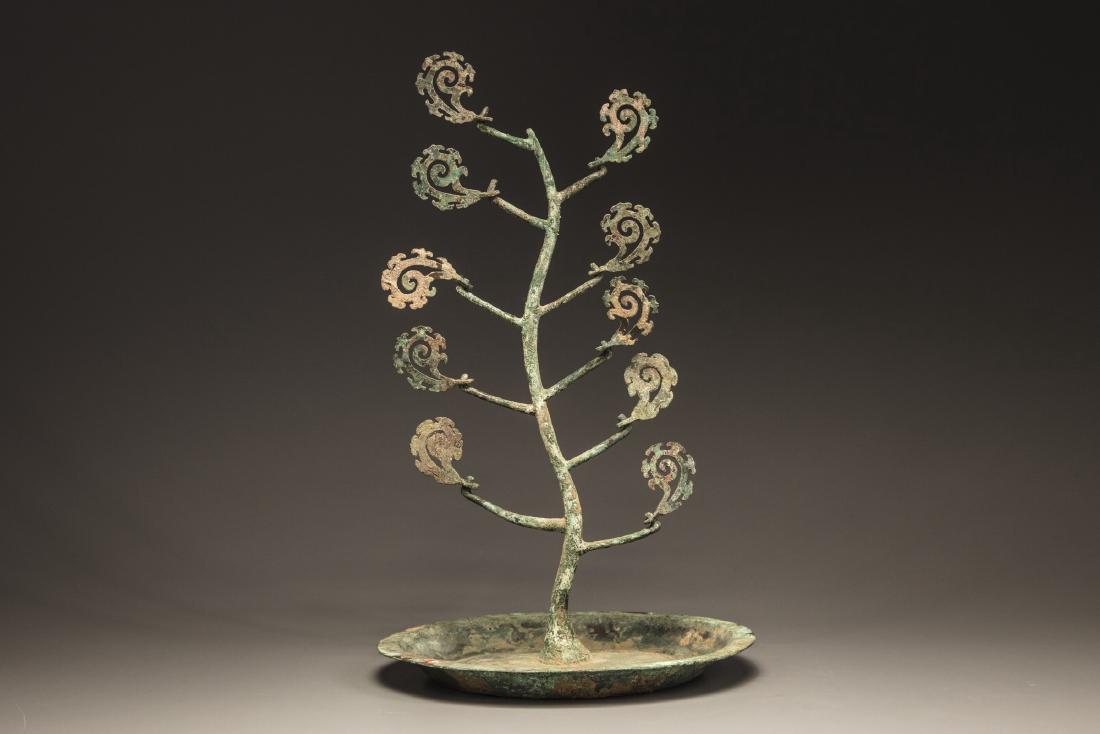 A bronze money tree: It is modelled as a slender tree with upturned branches with hanging swirled flanged leaves. The tree rests in a circular basin. Condition: with a thin layer of verdigris and dirt encrustation. Origin