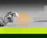 item-210677901=1