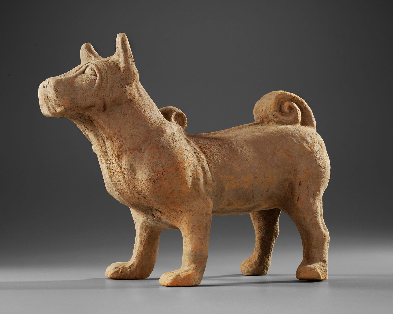 A WATCH DOG, HAN DYNASTY (206 BC-220 AD) (1 of 5)