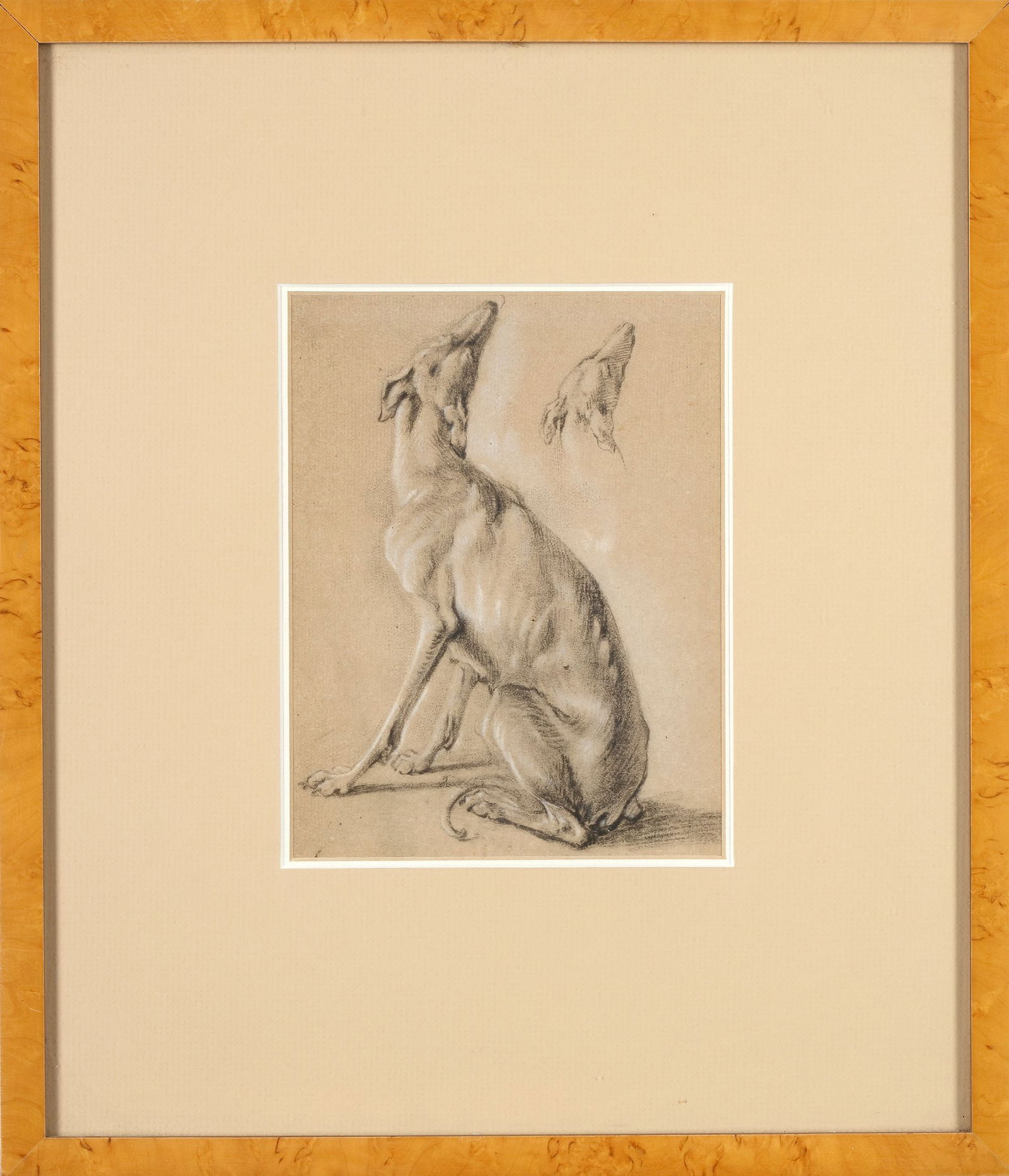 CHARCOAL STUDY OF A GREYHOUND: This beautifully rendered charcoal drawing captures the elegance and anatomy of a greyhound, with a secondary sketch of the dogâ€™s head in profile. The detailed shading and soft textures emph