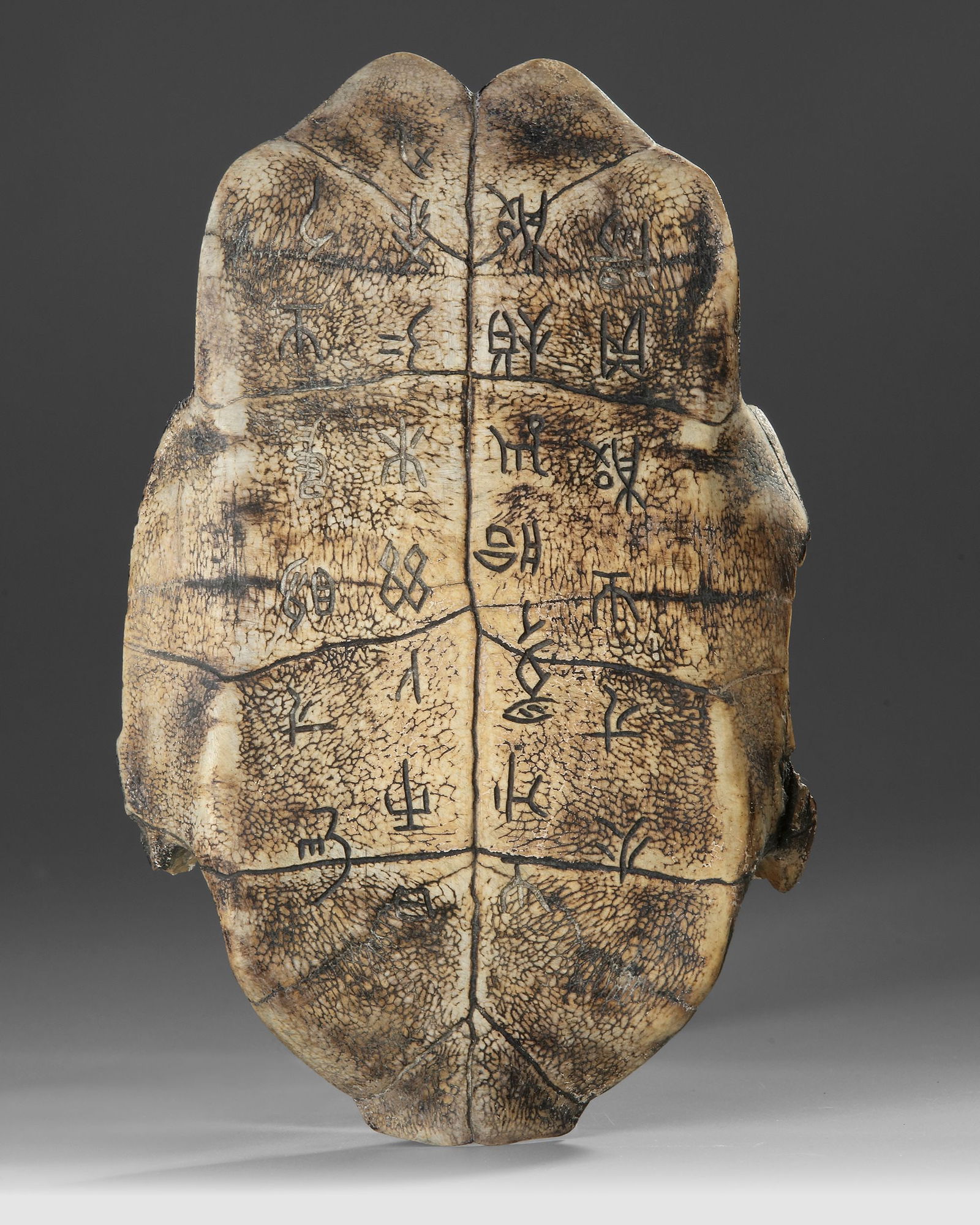 AN ORACLE TURTLE SHELL, CHINA, SHANG DYNASTY, (c. 1600â€“1046 BC): Ancient turtle plastron carved with early Chinese oracle bone inscriptions, used in divination rituals during the Shang Dynasty. Such shells were heated until cracks appeared, which were then interpre