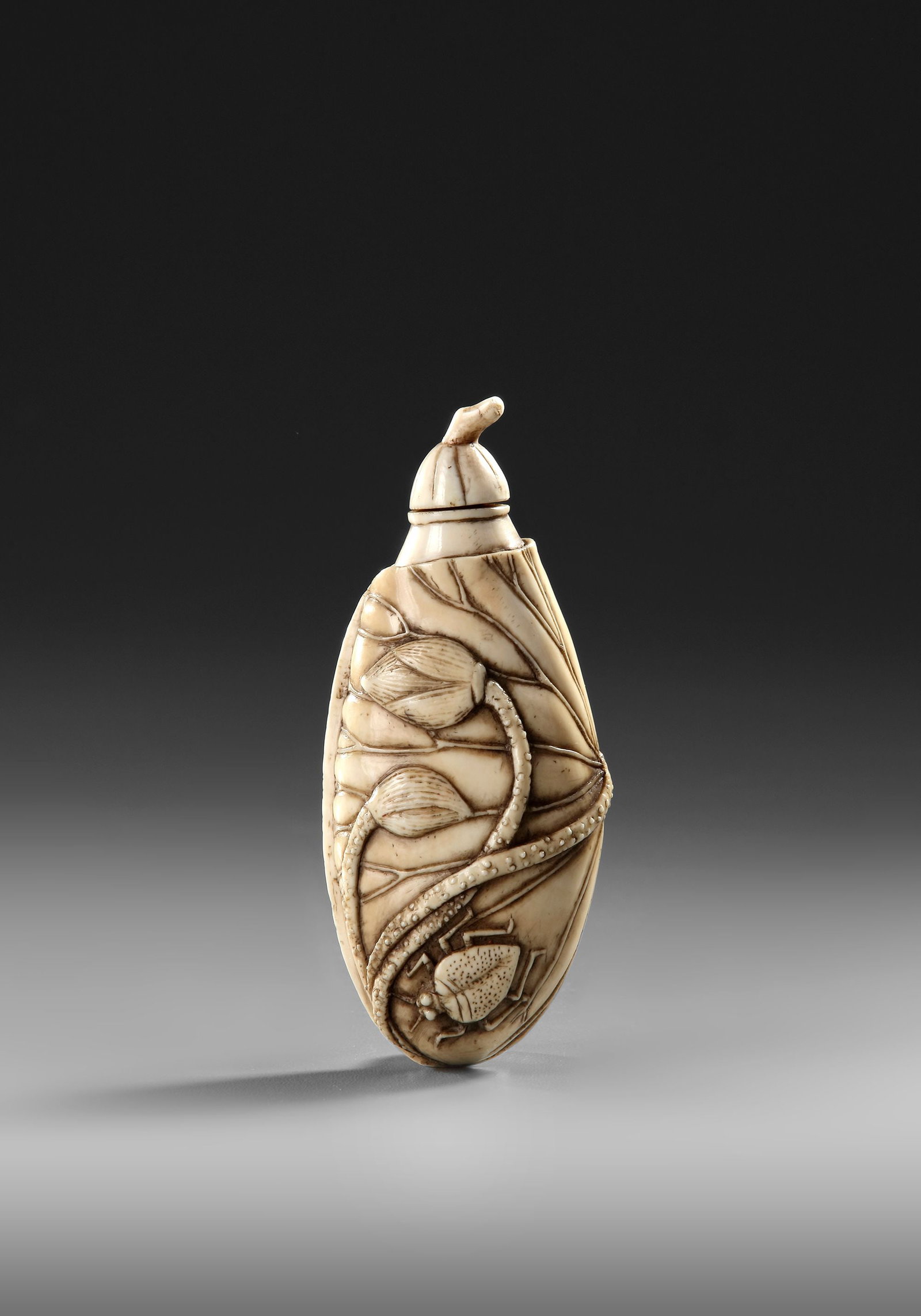 A CHINESE CARVED SNUFF BOTTLE, 19TH CENTURY (1 of 4)