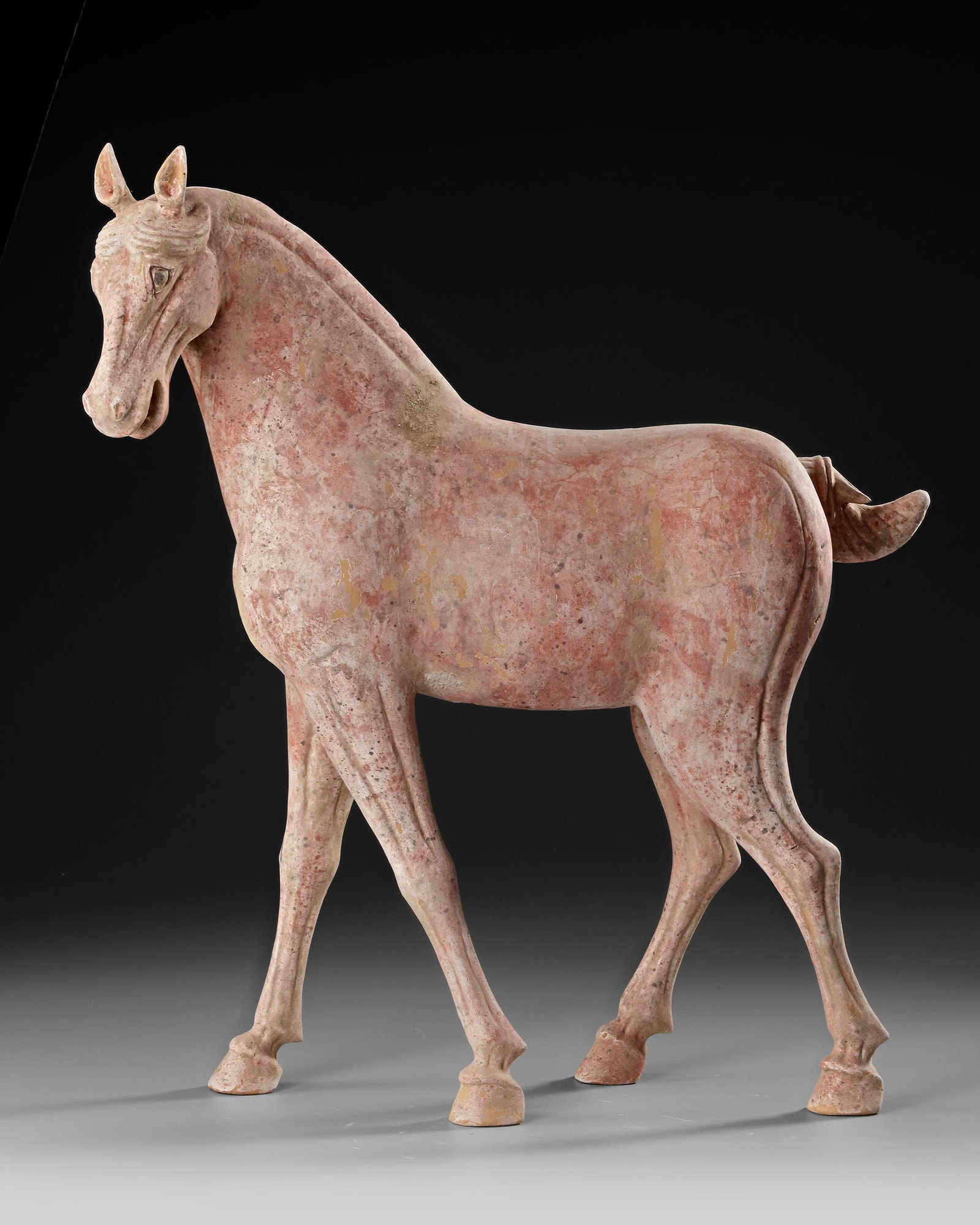 A CHINESE TERRACOTTA HORSE, TANG DYNASTY ( 618-906 AD): A very fine statue of a Ferghana horse in a walking position with it's head turned to the left, ears pricked and mouth open. The mane and tail carefully combed. 48 by 43 cm. Oxford TL tested.