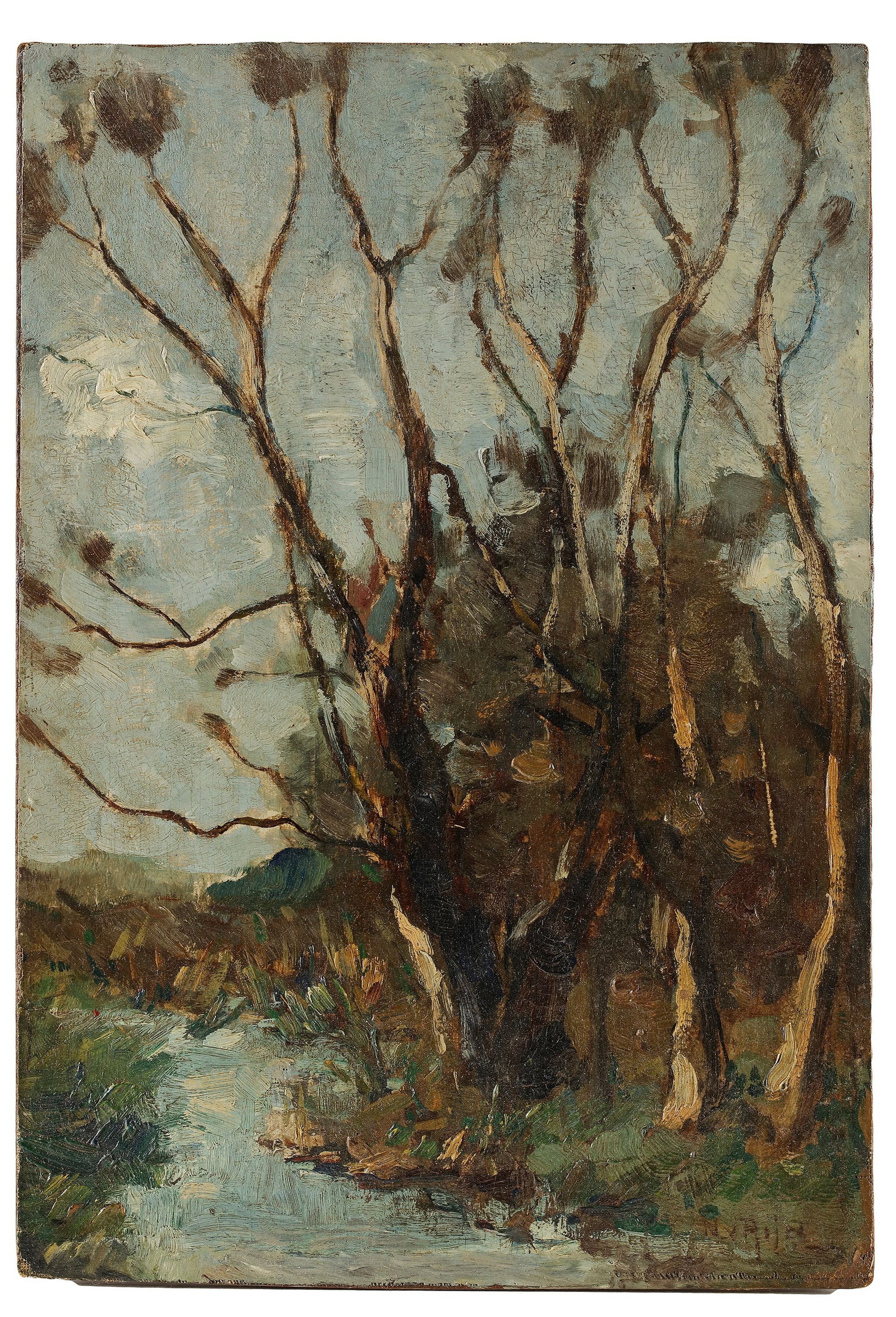NICO VAN RIJN (1887-1962), A STUDY OF TREES, OIL ON BOARD: Signed lower right, 35 by 24 cm.