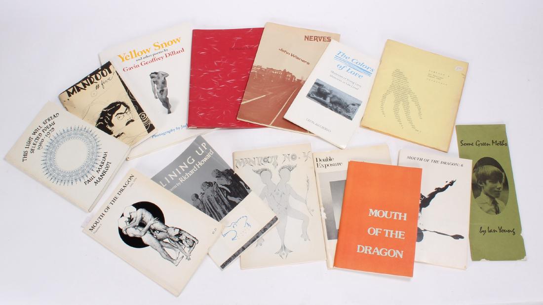 14 Paperback Gay Poetry Originals: 14 Paperback Gay Poetry Originals including Some Green Moths by Ian Young, Yellow Snow by Gavin Geoffrey Dillard