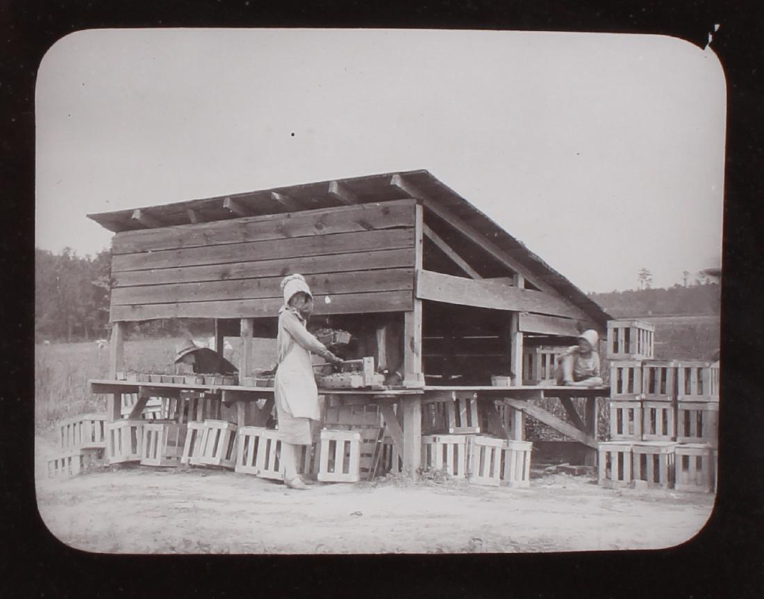 Walker Evans Style Farmstand Photograph (1 of 3)