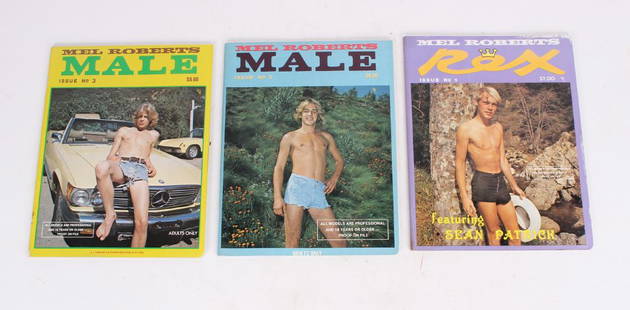 3 Mel Roberts Magazines: Three Mel Roberts magazines: Rex No 1, Male No 2, male No 3 1977 and 1978. The Rex has some cover wear, the other two are in near fine condition.