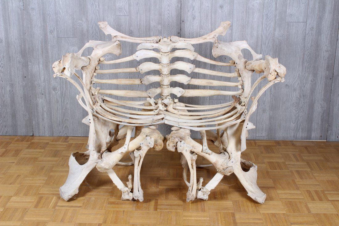 Ossuary Bone Settee: Unique natural bone form double settee with shaped back and seat supported on a elaborate base. One of a kind design, natural cow bone. Size: 41" H x 53" W x 23" D