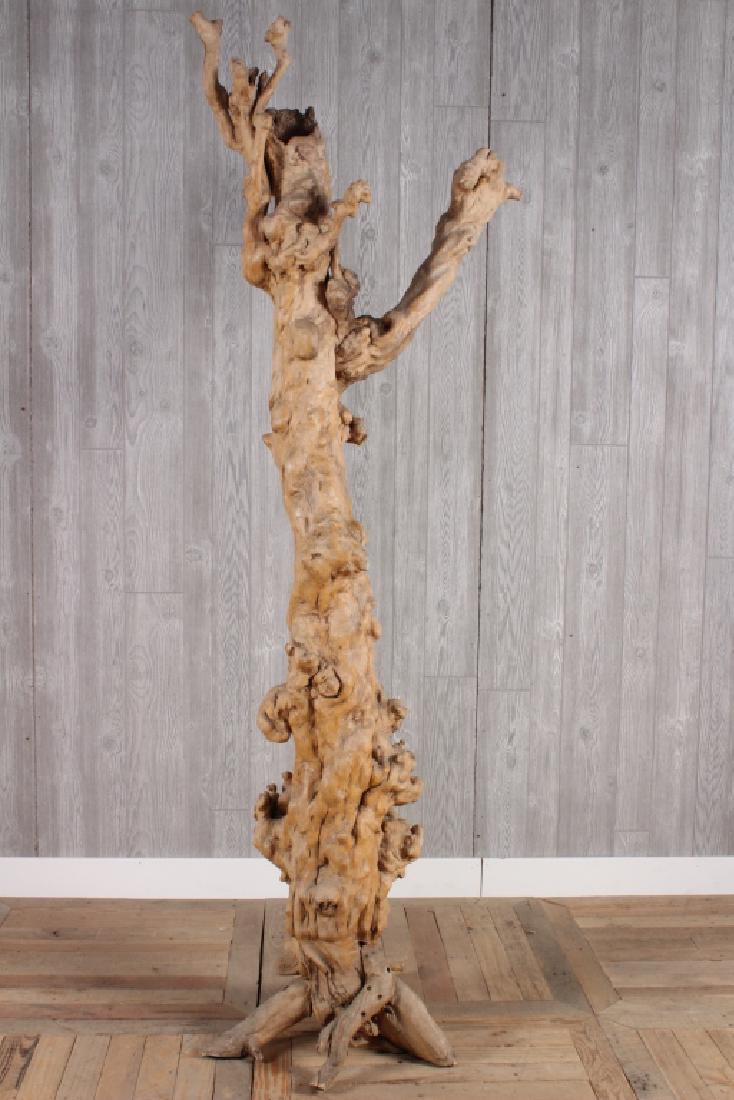 Burl Wood Root (1 of 4)