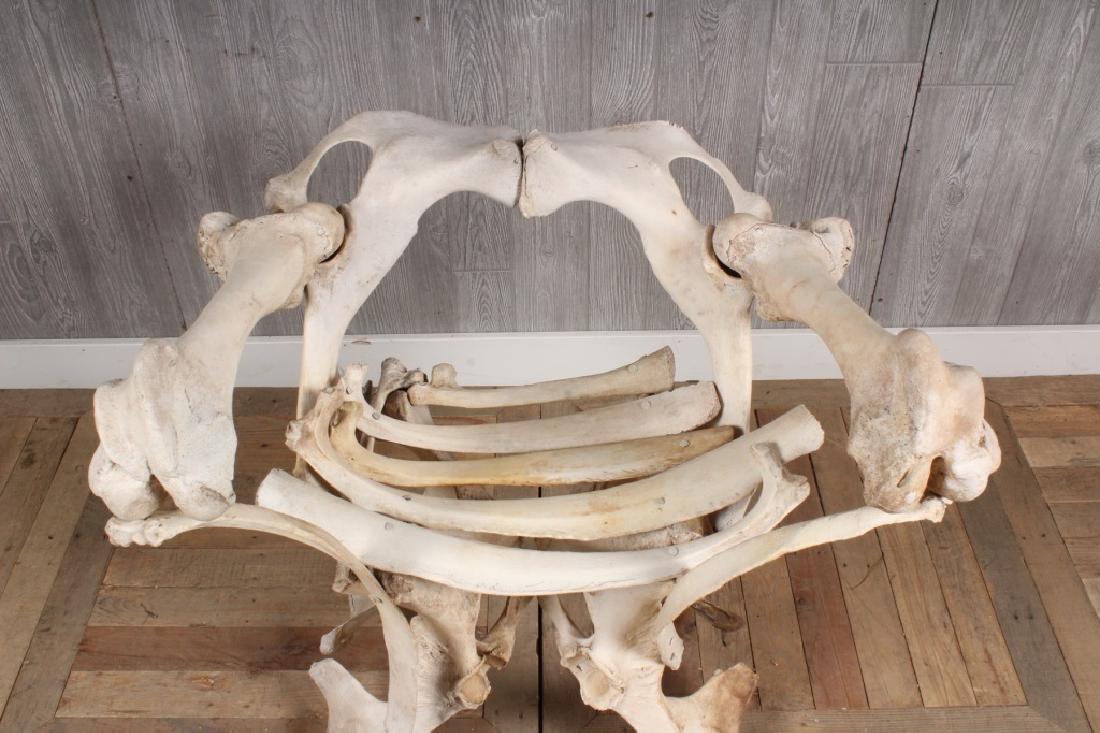 Savonarola Style Bone Chair: A unusual bone Savonarola style chair with open back and arms over rib seat. Size: 32.5" H x 29.5" W x 24" D