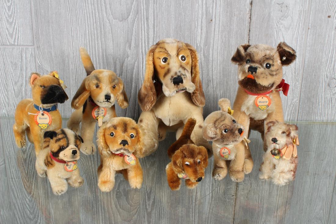 Kennel of 9 Vintage Steiff Plush Dogs: Including Hexie the daschund with chest label, button and tag 1309.0, Molly with chest label, button and tag 3310.00, Boxer with chest label, button and tag 1317.00, Revue Susi the Pekinese with chest