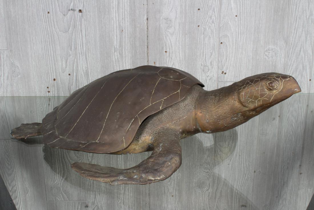 Life Size Figural Brass Turtle (1 of 5)