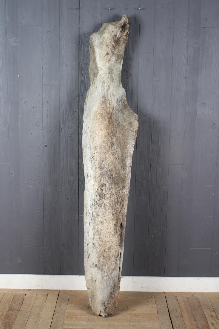 Antique Whale Jaw Bone Fragment: Antique Whale Jaw Bone Fragment. Size: 77" H x 16" W x 6" D