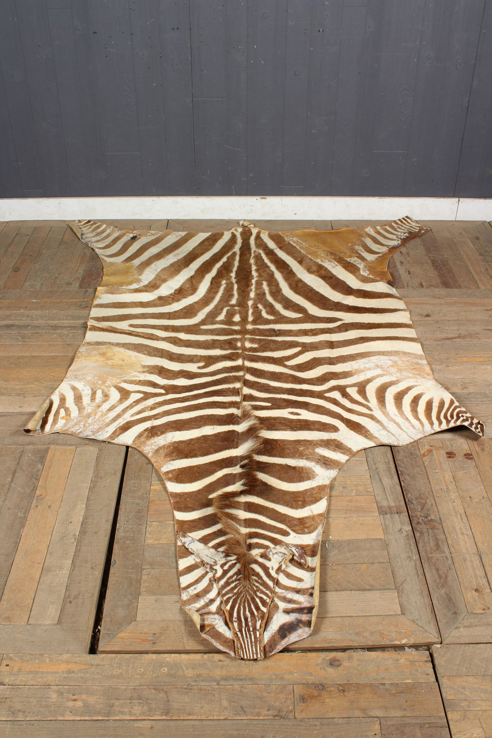 Vintage Zebra Hide Rug: Vintage Zebra Hide Rug. Size: 91" L x 67" W