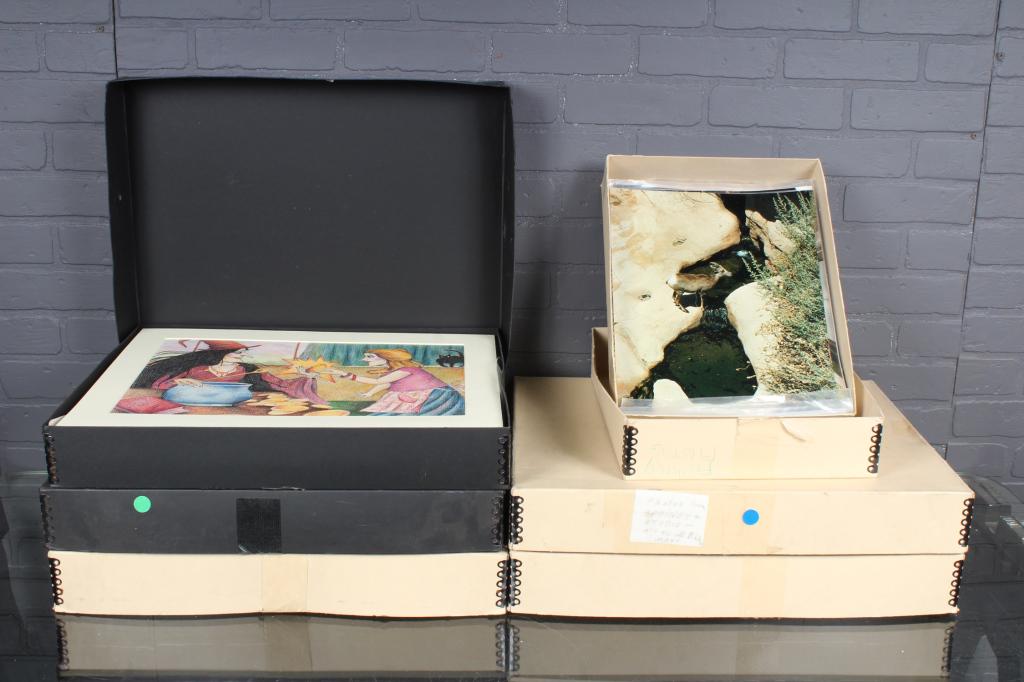 Estate Photography Portfolio (1 of 7)