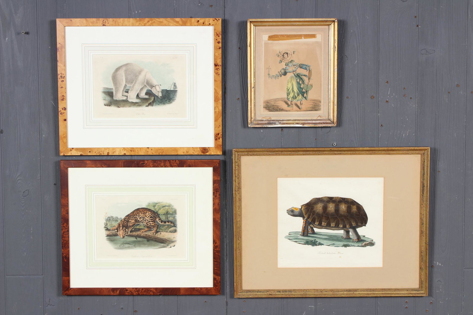 4 Antique Flora and Fauna Chromolithographs: 4 Antique Flora and Fauna Chromolithographs. Size: Largest: Framed: 16" H x 20" W x 1" D; Sight: 9.5" H x 11" W