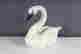 item-80952607=2