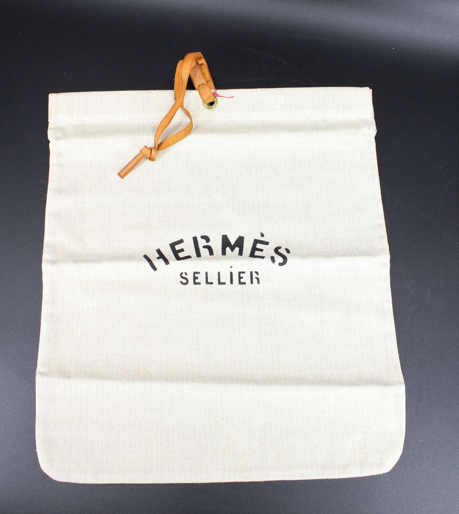 Hermes Sellier Canvas Shoulder Bag or Tote (1 of 2)