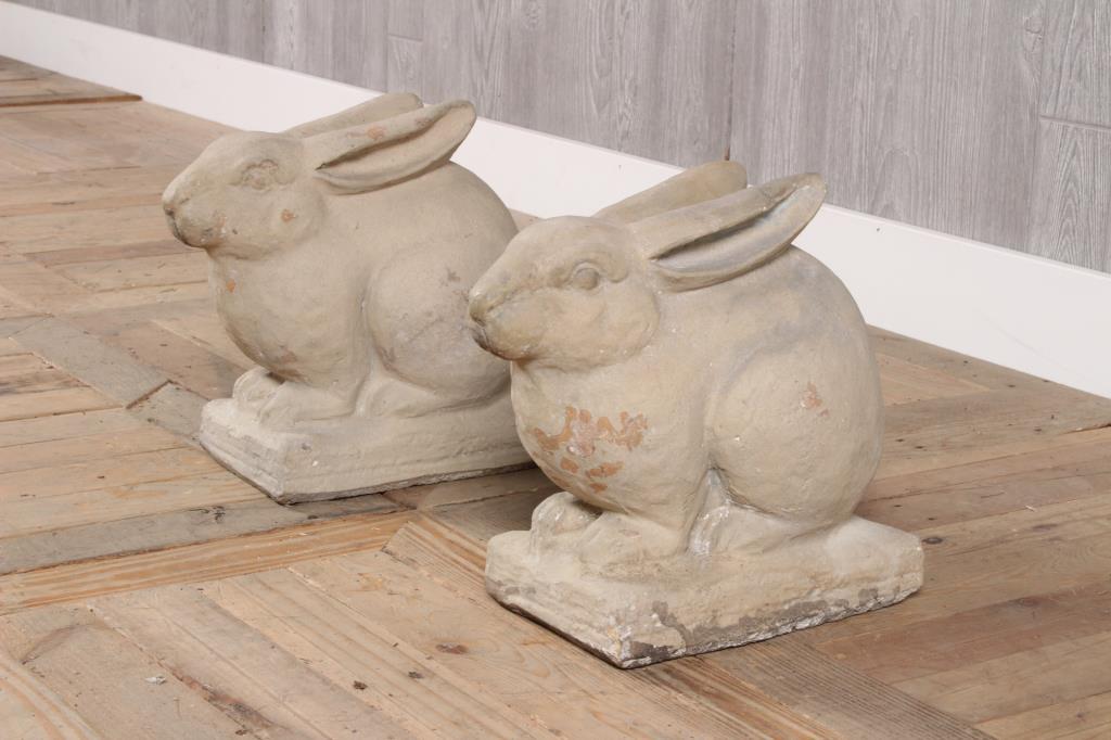 Pair Galloway Rabbits (1 of 4)