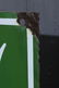 S&H Green Stamps Porcelain over Iron 2-Sided Sign - 8
