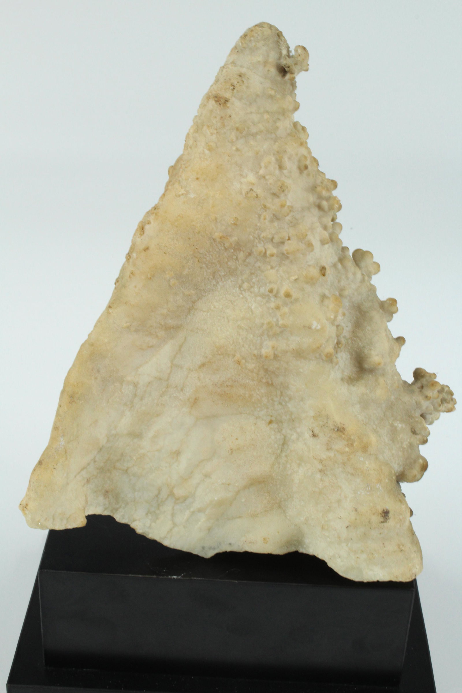 1008g Geological Cave Formation Specimen: 1008g Geological Cave Formation Specimen. Size: 3.5"H x 7"W x 5"D Weight: 1Kg 8g