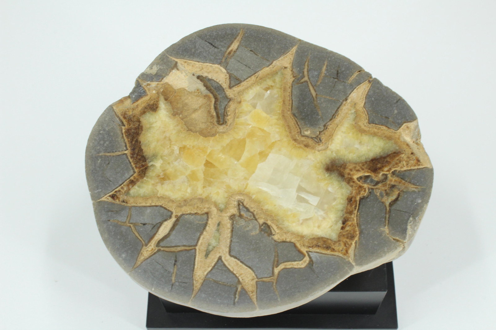 2318g Natural History Mineral Specimen: 2318g Natural History Mineral Specimen. Size: 3"H x 6.5"W x 6"D Weight: 2Kg 318g