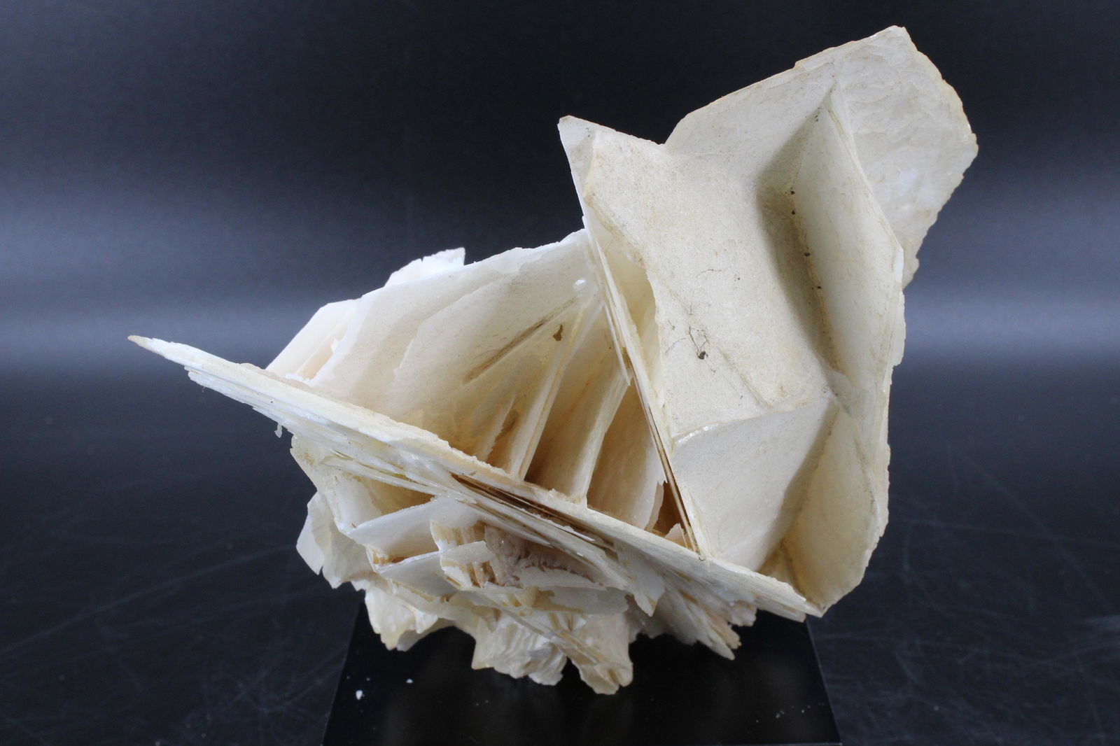 1190g Desert Rose Mineral Specimen: 1190g Desert Rose Mineral Specimen. Size: 6.5"H x 7.5"W x 5.5"D Weight: 1Kg 190g