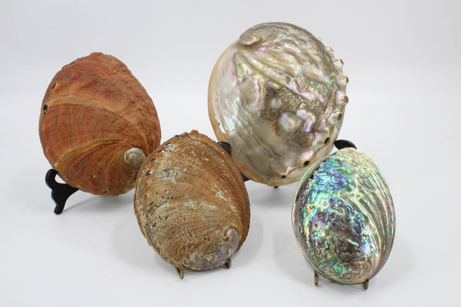 Group of 4 Natural Abalone Shells: Group of 4 Natural Abalone Shells. Size: largest 8.5" x 7"
