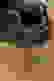 item-91818161=4