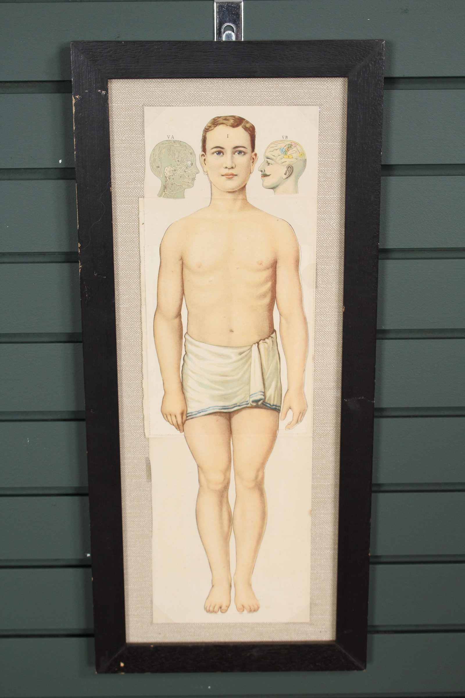 Framed Medical Figural Diagram: Framed Medical Figural Diagram. Size: 23.75" H x 10.5" W.