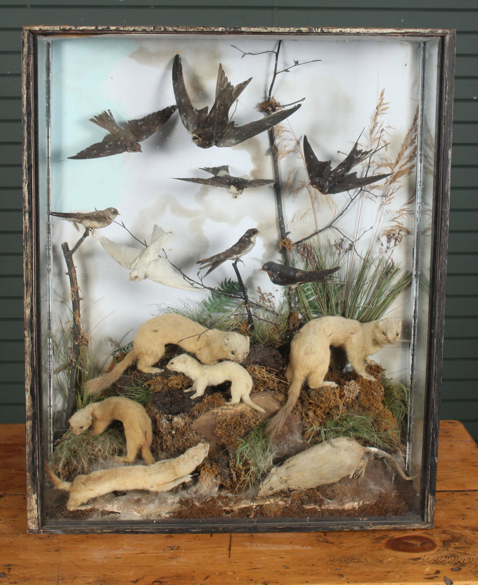 Late 19th to Turn of the Century Taxidermy Diorama: Late 19th to Turn of the Century Taxidermy Diorama, with multiple animals displayed in naturalistic landscape. Size: 32.5" H x 27" W x 9.5" D.