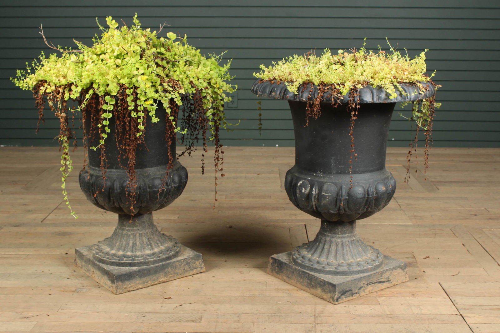 Pair Large Scale Melon Form Campana Garden Urns (1 of 6)