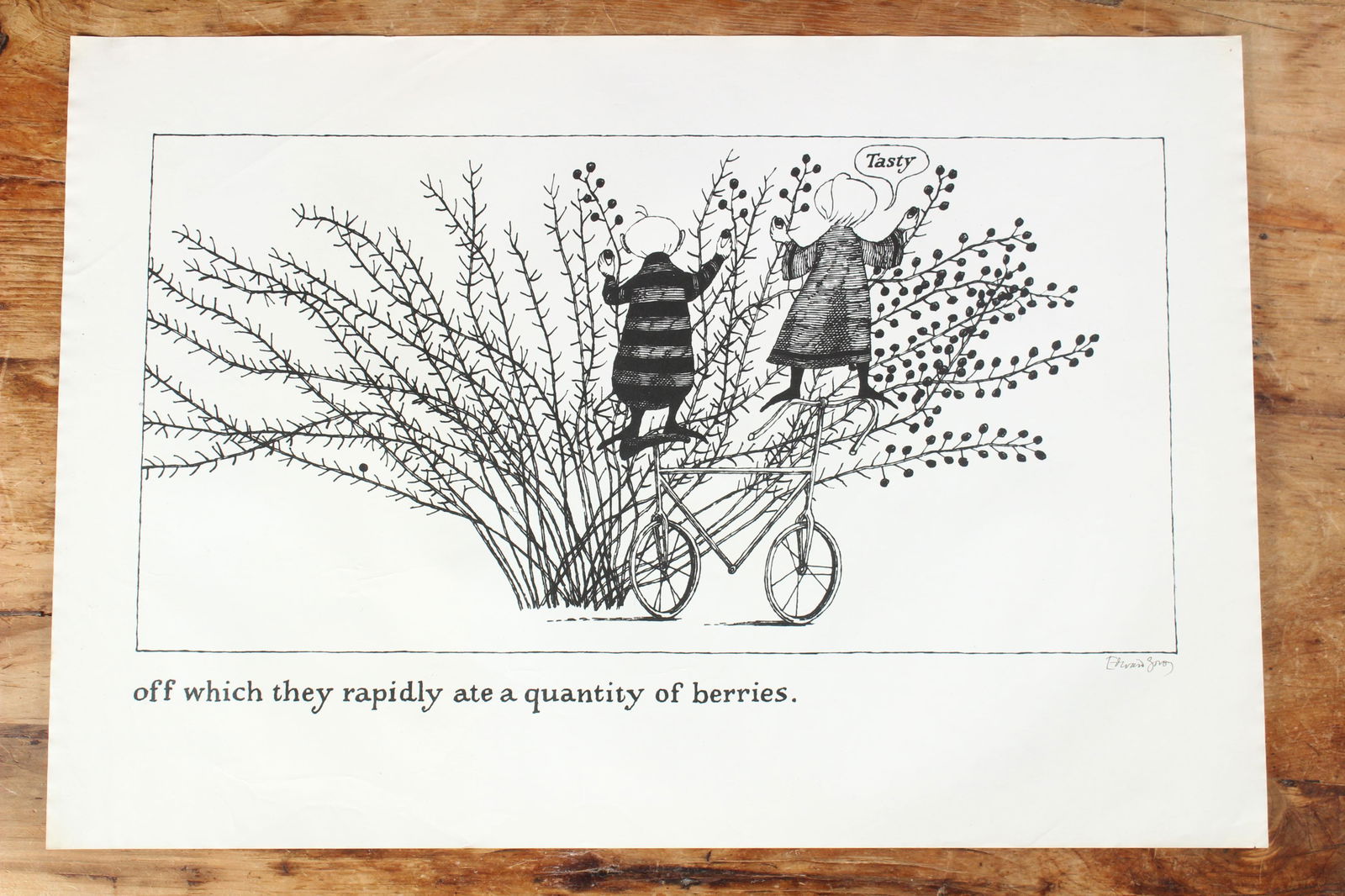 The Epiplectic Bicycle Illustrated Poster, Signed (1 of 4)