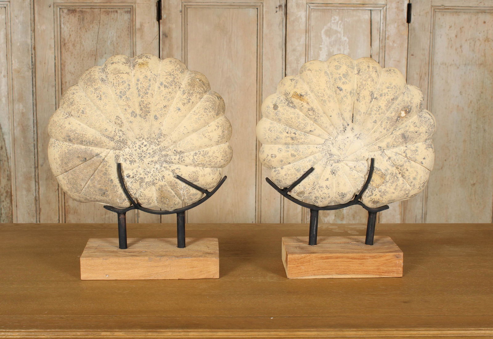 Pair Decorative Cast Stone Ammonite Sculptures (1 of 4)