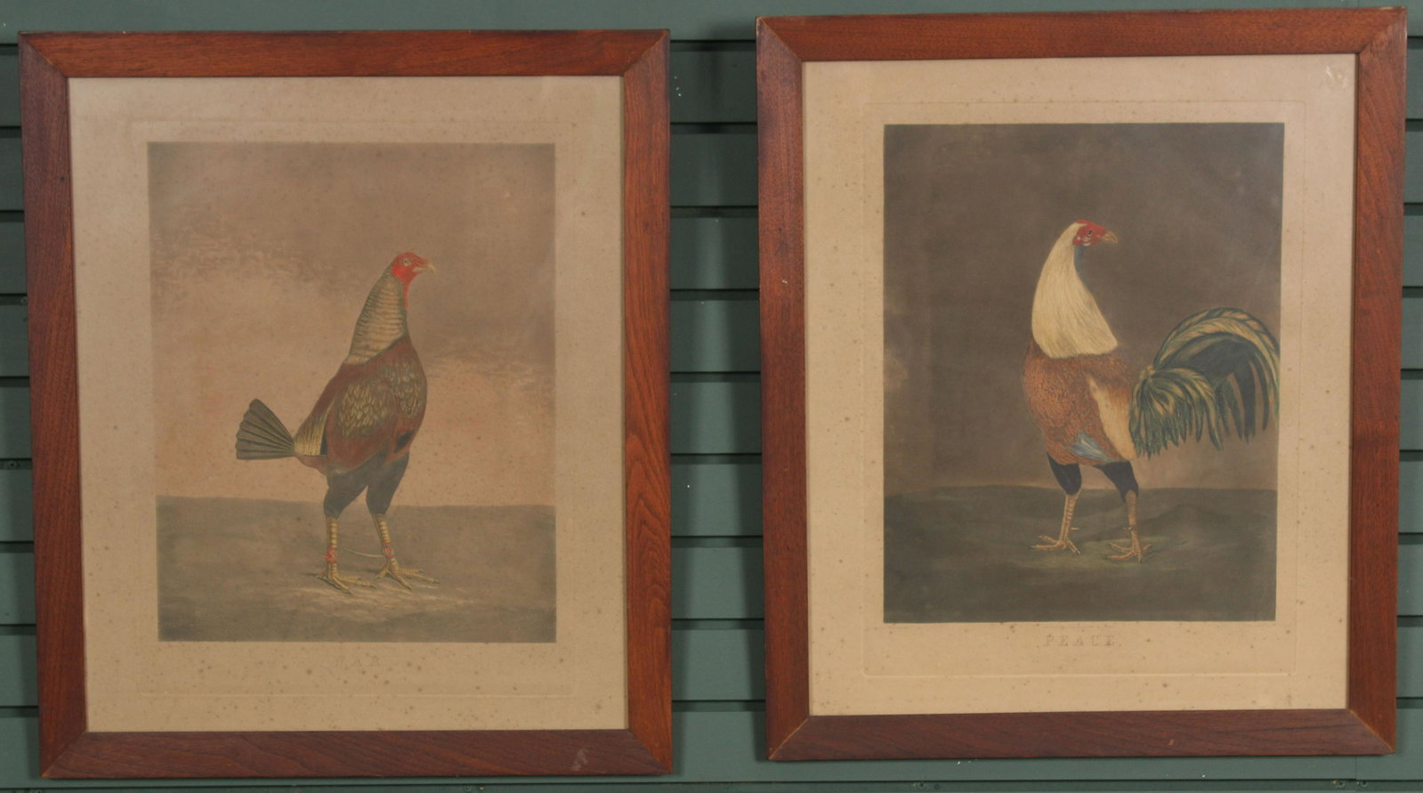 2 Prized Gamecock Lithographs- War and Peace: 2 Prized Gamecock Lithographs- War and Peace. Published in London by W.C. Lee, Painted by B Marshall, and engraved by C. Turner. Size: Framed: 27" H x 23" W x 1" D; Sight: 23.5" H x 19.5" W