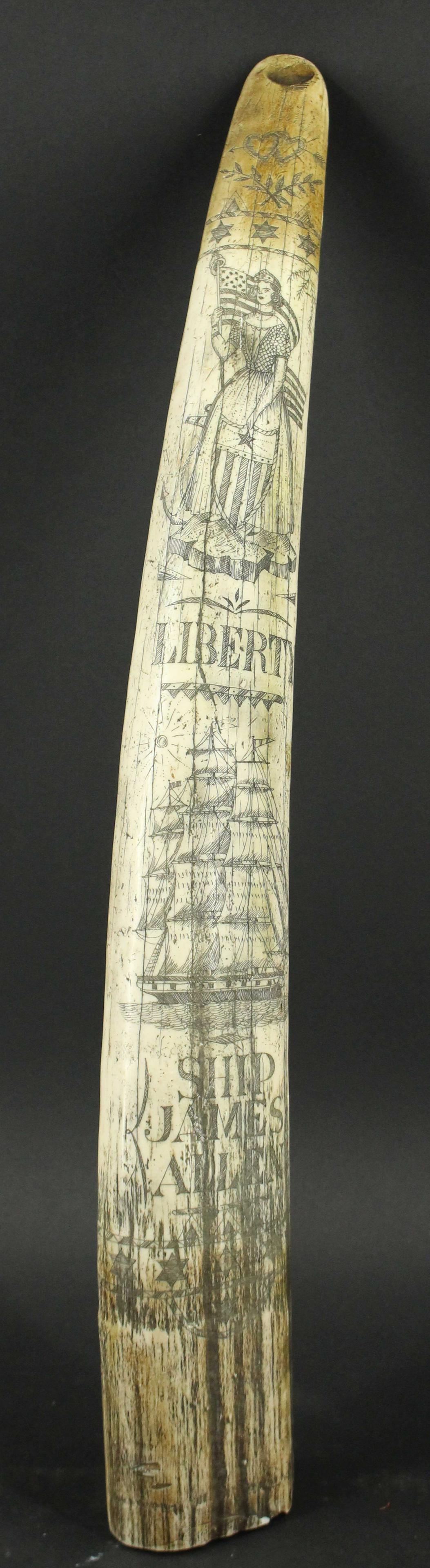 Composite Scrimshaw Walrus Tusk: Composite Scrimshaw Walrus Tusk. Bearing a depiction of Liberty. Size: 22.5" H x 3" W x 2" D Provenance: Production of â€œDickinson”
