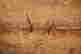 item-121181299=9