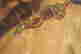 item-121181379=3