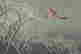 item-121181420=7