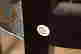 item-121181514=7