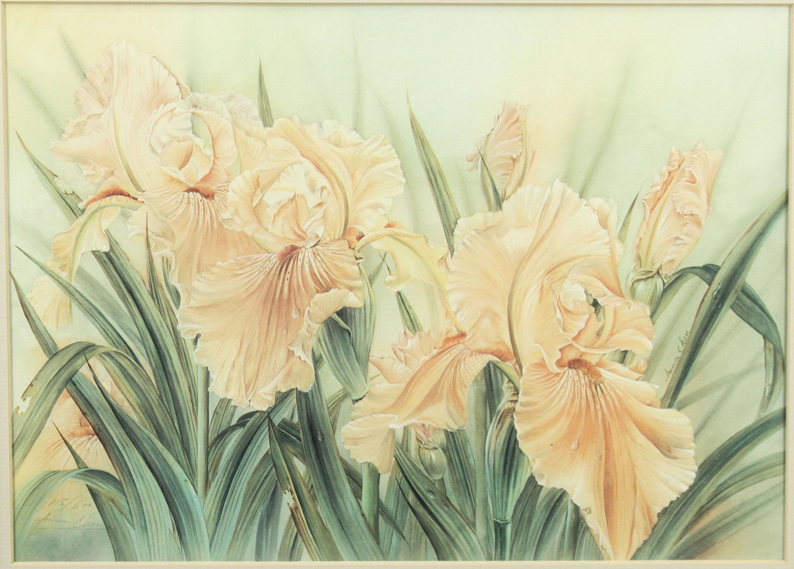 Anna Chen - Yellow Irises Print: Anna Chen - Yellow Irises Print. Size: Frame: 17.5" H x 21.5" W x 1" D; Sight: 9.25" H x 12.75" W