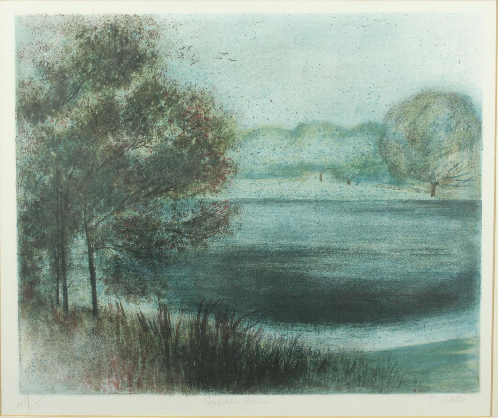 Diane Vidito - September Rain, 1974, Litho 245/275: Diane Vidito - September Rain, 1974, Litho 245/275. Size: Frame: 22.5" H x 25.5" W x 1" D; Sight: 15" H x 17.5" W