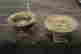 item-128880171=7