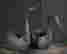 item-128880229=3