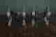 item-128880297=3