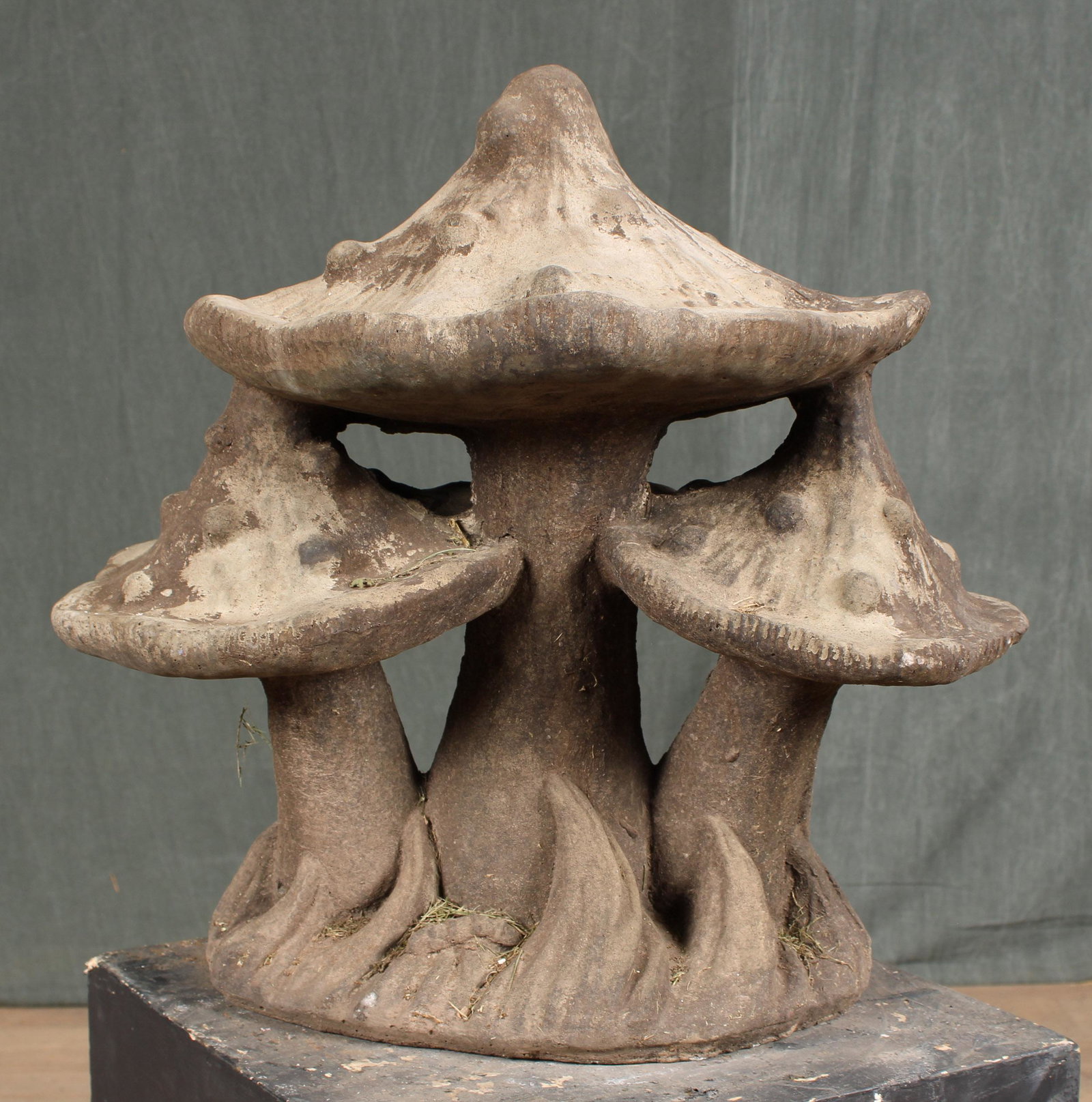Cast Stone Mushroom Group Garden Ornament: A whimsical cast stone mushroom group. Size: 21"H x 21"W x 12"D