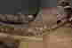 item-130859074=5