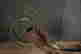 item-130859074=6