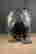 item-130859078=6